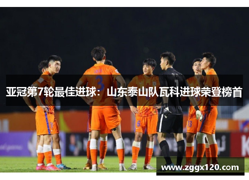 亚冠第7轮最佳进球：山东泰山队瓦科进球荣登榜首