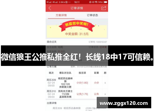 微信狼王公推私推全红！长线18中17可信赖。